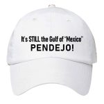 Pendejo It's Still The Gulf Of Mexico Hat