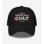 FDT You'Re In A Cult America Hat