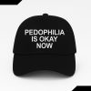 Pedophilia Is Okay Now Hat