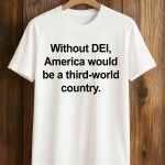 Without DEI, America Would Be A Third World Country Shirt