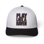 John Harbaugh Play Like A Rave Hat