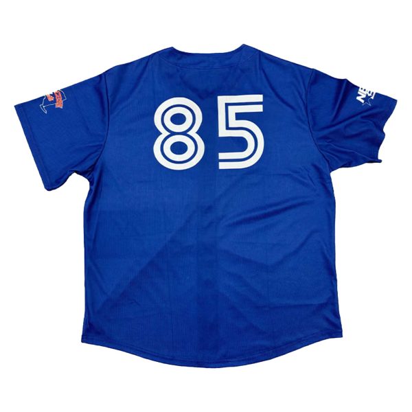 Syracuse Mets Wall of Fame Day Jersey 2025 Giveaway