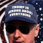 Trump Is Wrong About Everything Hat