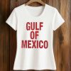 Oscar Isaac Wears Gulf of Mexico Shirt