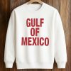 Oscar Isaac Wears Gulf of Mexico Shirt