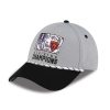 Bears NFC North Divison Champions 2025 2026 Hat (1)