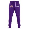 TCU Football Alamo Bowl Champions 2025 Hoodie 2