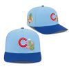 Cubs Spring Training Hat 2026 (1)