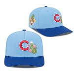 Cubs Spring Training Hat 2026