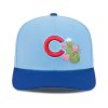 Cubs Spring Training Hat 2026 (2)