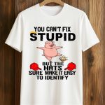 You Can’t Fix Stupid Shirt