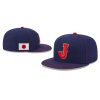 Japan World Baseball Classic 2026 Hat (2)