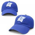 Raleigh Durham Triangles Hat