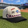 Vladdy Blue Jays World Series Champions 1993 Hat (2)