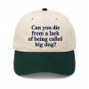 2026 Can You Die From A Lack Of Being Called Big Dog Cap (2)