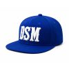 2026 Iowa Cubs Capital City DSM Hat (2)