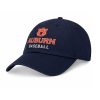 Auburn Tigers Baseball Hat (3)