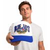 Blue Jays 2026 Rogers Centre Open City Hat (2)