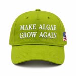 Make Algae Grow Again America Flag Hat