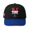 Mets 2026 Puerto Rican Coqui Frog Hat (1)