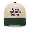 Big Dog Who Art In Heaven Hat (3)