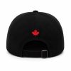 Lake Ontario Actually Hat (3)