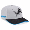 Detroit Lions Rivalries Defend the Den 2026 Hat (4)