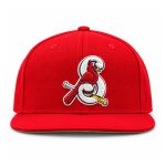 Hancel Rincon Springfield Cardinals Baseball Red Hat