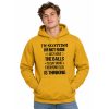 I'm Scottish I'm Not Rude I Just Have The Balls To Say What Everyone Else Is Thinking Hoodie (2)