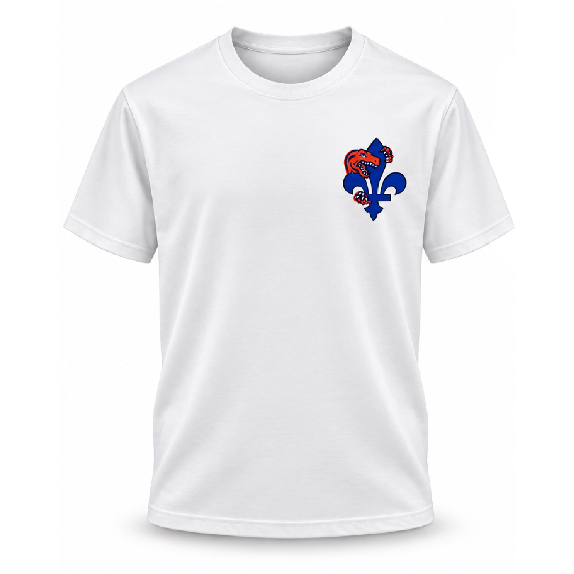 Raptors Ville De Quebec Canada Games Shirt 2 Raptors Ville De Quebec Canada Games Shirt (2)