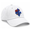 Raptors Ville De Quebec Dinosaur Hat (3)